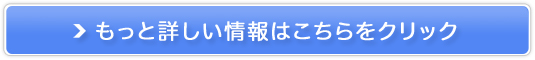 yTCgiCgzLO1ʒBLy[̔TCg